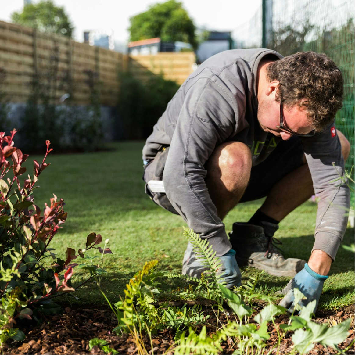 People split Gardener