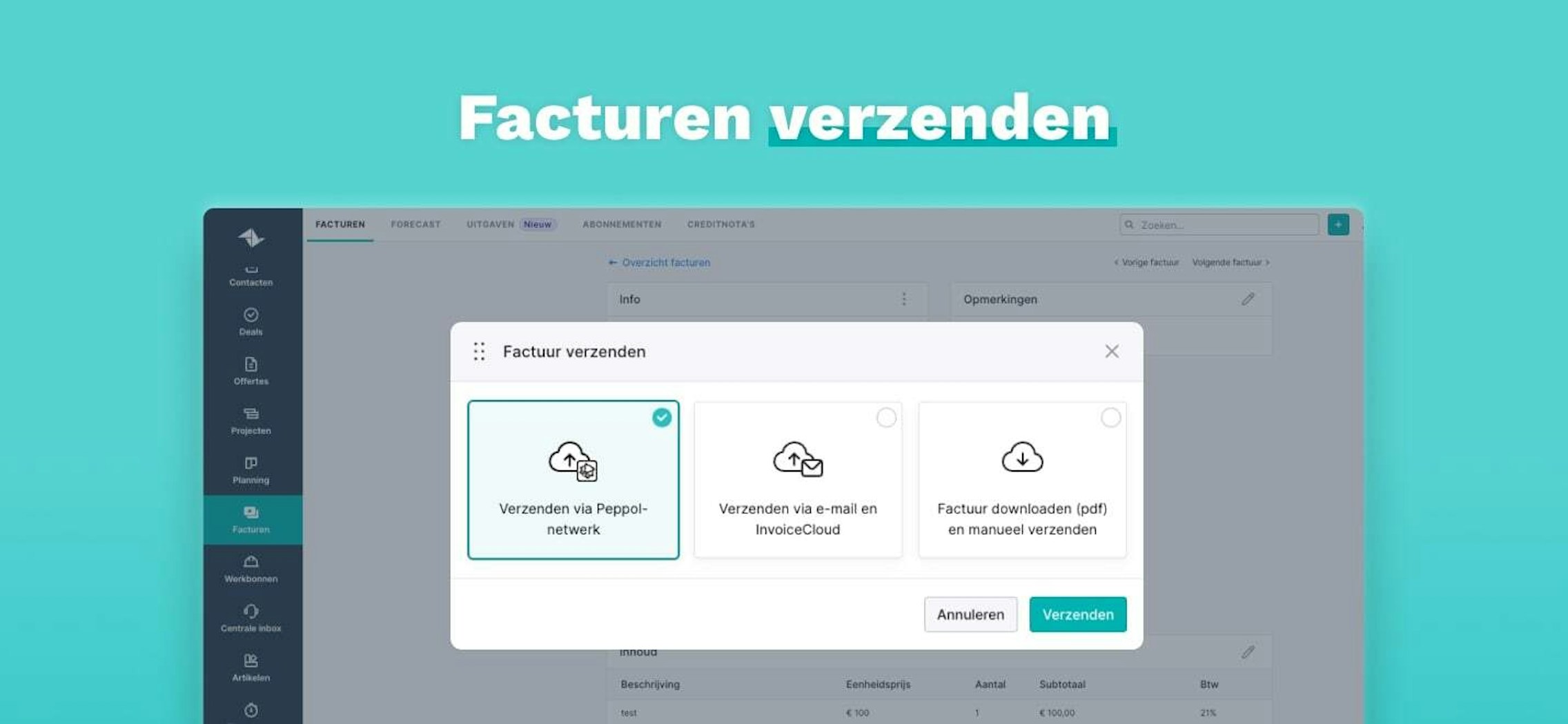 Campaign E invoicing Pillarpage Facturen Versturen