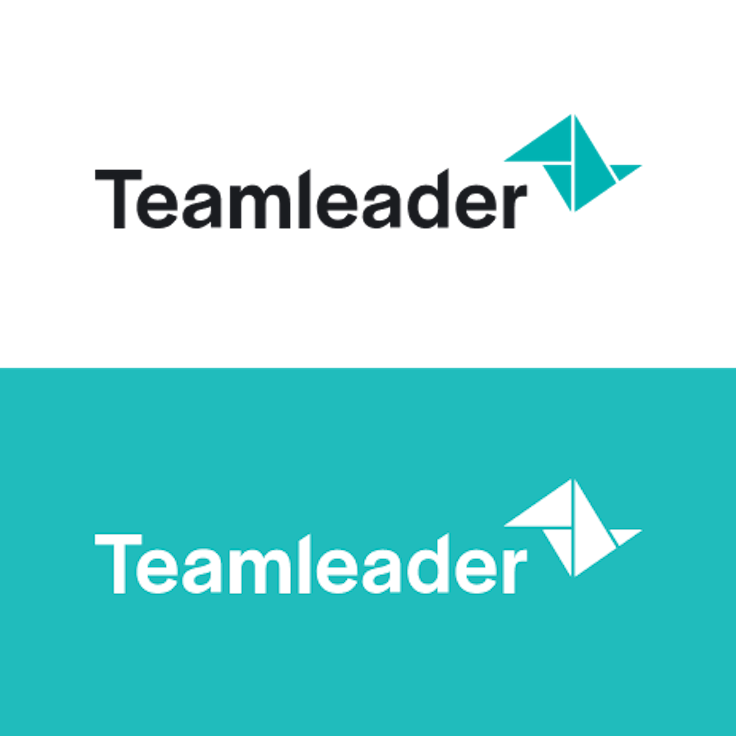 Website Assets Logo